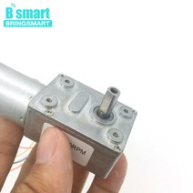 웜기어 감속기 모터 Bringmart JGY-2430 브러시리스 12 볼트 24V DC 웜 기어 모터 자동 잠금 가역 브레이크, 06 12V 40rpm