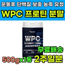 운동후 프로틴 단백질 추천 농축 유청 단백 분말 WPC 고단백질 고단백 근육량 근력 근육 에너데이 대두 레시틴 쉐이크 헬스 헬린이 바프 바디프로필 프레임 어깨 복근 파우더 가루