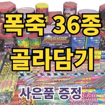 불꽃놀이 폭죽 내맘대로골라골라 다양한 구성, 1개, 34.10인치 스파클라 10개