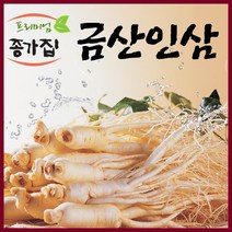 금산인삼 국산 인삼 수삼세척가정용난발파삼, 1팩, 세척삼계탕용인삼300g(10~20뿌리)