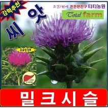 RA3/약초씨앗/간보호/간해독의 왕/밀크시슬 100립
