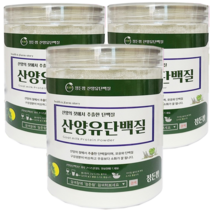 네덜란드 산양유 프로틴 순수 산양유 단백분말 백퍼센트, 순수산양유 단백분말150g 3통