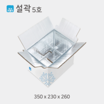 설곽 종이 아이스박스 5호 20개입, 20개