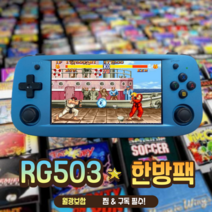 RG503 한방팩 가정용 오락실 레트로 게임기 오락기 5S 25S 40S 미니 휴대용 256G 게임팩 (기기별도 구입 필요), 1개