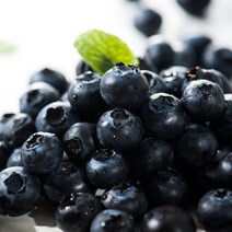 수입산 생 블루베리 125g x8팩, 8개