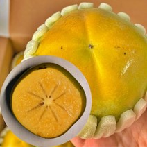 [산지직송] 고당도 아삭달콤 창원 태추단감 햇 배 단감 가정용 흠과 정품 선물용 선물세트 감 2kg 3kg 4kg 5kg, 1박스, 소과 2kg(가정용 11-14과)