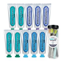 아토세이프 덴티본조르노 치약100g(구취 4개+치석 3개+잇몸 3개)+칫솔 8개, 단품
