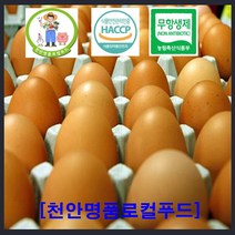 [천안명품로컬푸드] 국내 최초 온라인 로컬푸드 전문 매장 농부가 직접 판매 당일 발송 거품 팍팍 뺀 신선한 계란 특란 10구 15구 30구 120구 착한가격 ( 만족은 100%), 초란30알(1판)*2판
