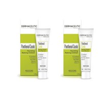 더마쏘틱 리페어링 밤 30g Dermaceutic Panthenol Ceutic, 2팩