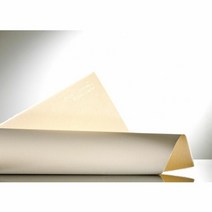 캔손 아르쉬 BFK판화지 250G 2절 10매 - 53918 화방용지 화방수, 단품