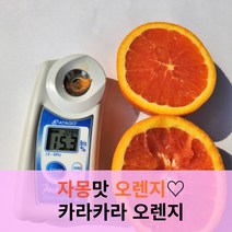 caracara오렌지 상품비교 및 가격비교