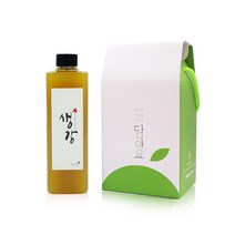 담아요 수제과일청 선물세트(포장무료) 각종답례품 부모님선물 추석명절선물, 1세트, (1구포장)생강청500ml(플라스틱)