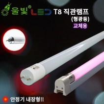 울빛 LED형광등 AC직관 주차장 사무실 공장등, 1200mm, 녹색
