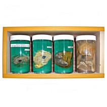 닭의 한살이(아크릴 표본)