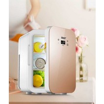 SAST 미니 냉장고 가정용 작업실 화장품 보관, C