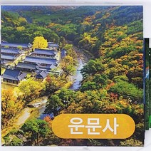 인쇄타일 600mmX600mm UV출력 코팅 포쉐린 아트 포인트 데코 화장실 포토, 1개, 고흐_싸이프러스 나무