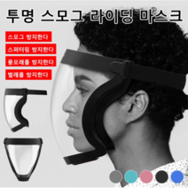 방호용 렌즈 마스크 페이스 고글마스크 김서림 투명방호마스크, 핑크*2