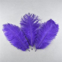 공예용깃털 펜 먼지털이 10 개 자연 염색 솜털 부드러운 타조 공예 DIY 바느질 보석 만들기 드레스 웨딩 장, 10 Purple feathers