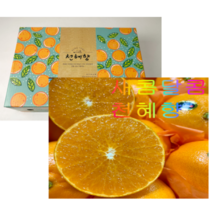 [고당도] 최상품 제주 천혜향 선물용 가정용 선물용셋트, [선물용/대과]3kg