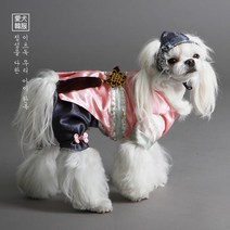 설난 마고자 왕자한복 -인증