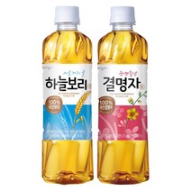 웅진 500ML 5종 10+10개(선택), 하늘보리 10개+결명자 10개