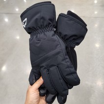 [알파인] 스키 장갑 (대가상회), L