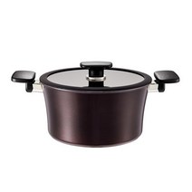 HC 트리곤 IH 곰솥냄비 24cm, 단일사이즈