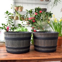 HACHO_ 글라스꽃병 예쁜화분 분갈이 실내용화분 화분세트 내추럴화분 인테리어화분, 구매픽!! 빈티지 플라스틱화분 오크통 K35 35x24, 구매픽!! 오크통 K35 브라운