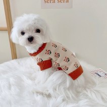 Neirny 강아지옷 니트 조끼 스웨터 반팔 꽃무늬 패션 가을겨울옷 강아지옷 고양이옷 MY-C01, 오렌지