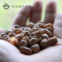 2022년 국산 왕태콩뻥튀기 500g 흰콩 뻥튀기, 1개