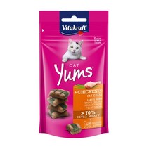 희동이네 고양이 습식 간식 비타크래프트 캣얌 40g 5종 택1 고단백 영양만점 부드러운 질감 무설탕 간식, 1개, 치킨&캣그라스