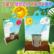 MDO9761 2 in1 식물의 생장조건 관찰액자화분 LED형 1인용 (만들기교구/초등학교교구/관찰교구/식물관찰액자)