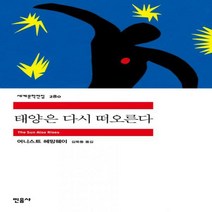 태양은 다시 떠오른다 (세계문학전집 280)