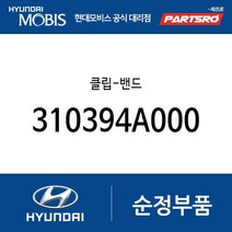 클립-밴드 (310394A000) 아토스 라비타 아반떼XD EF쏘나타 스타렉스 테라칸 맥스크루즈 2018 i40