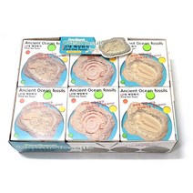 2000 프랜즈 고대 해양화석 발굴키트 1각12개입