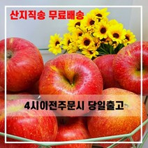 산지직송 햇사과 일품 꿀 부사 사과 충북 5kg 10kg 선물용 가정용, 선물용 정품 중대과 30~34과