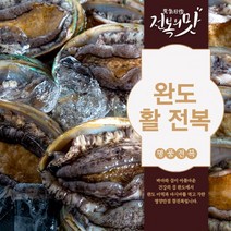 싱싱한 살아있는 완도 활전복 당일배송 산지직송 산소포장 1kg 2kg(11미-30미), 1kg(25~30미)