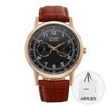 시티즌 CITIZEN AO9003-08E 에코드라이브 흑부엉이 남성 가죽