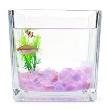 핑크 퍼플 컬러 돌 유리 자갈 250g 어항 꾸미기 구피 물멍 30큐브어항 거북이키우기 알비노폴레드구피, 믹스퍼플돌