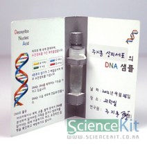 H.D. DNA추출2 (SC) 동물세포(4인용)