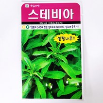 스테비아씨 50립