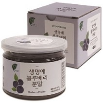 생명애 블루베리 분말 100g, 1개