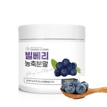 빌베리 분말 가루, 250g(250g X 1통)