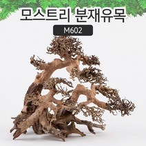 베트남 유목 모스트리 대 M602 어항 레이아웃용