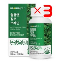 내츄럴플러스 혈행앤 징코 브레인 X3 I 기억력좋아지는영양제 징코효능 항산화징코