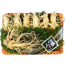 고려인삼 추석 구정 설날 명절 수삼선물세트 5 6 년근, 2호수삼선물세트