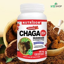 뉴트리돔 캐나다산 20배농축 야생 차가버섯 Chaga 180mg 120캡슐