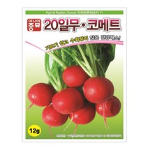 아시아종묘 20일무 코메트 씨앗 종자 12G 적환무 코메트씨 무씨앗 무씨