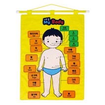 청양토이 벽걸이 교육교재 차트, 나의 몸(MY BOBY), 38 x 53cm