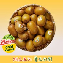 제스프리 골드키위 울트라 점보 왕점보 20과 10과 2kg~4kg, 제스프리 골드키위 10과 1.6kg (왕점보), 1개